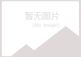 鹤庆县山柳化学有限公司